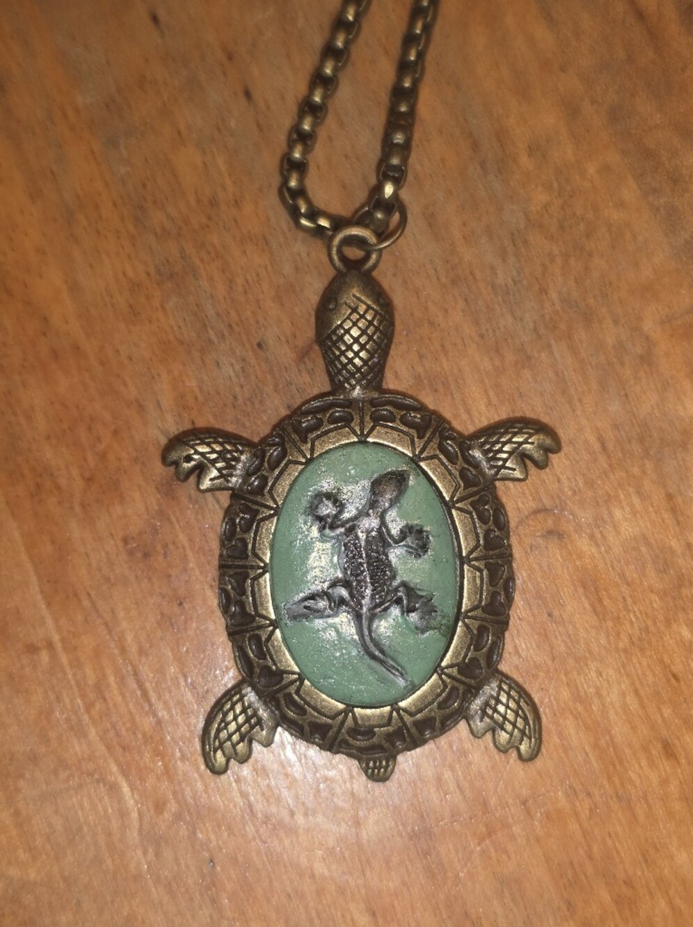 Metal Turtle Pendant With Cameo Lizars In Centervon A Bronze Chain Necklace